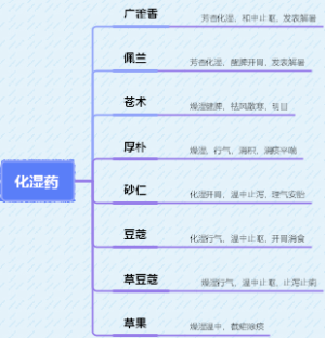 5.化湿药