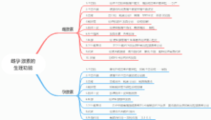 雌孕激素的生理功能