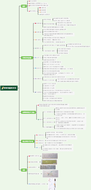 思维导图笔记法