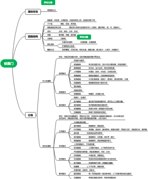 硅藻门思维导图