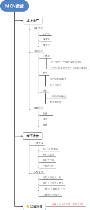 MCN（国内抖音）运营框架初稿20221104