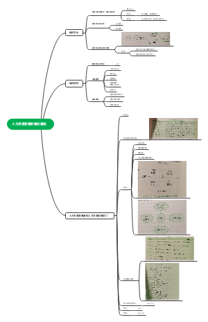 人力资源管理的理论基础