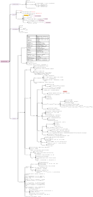 安全感与不安全感