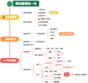 植物综合初中生物