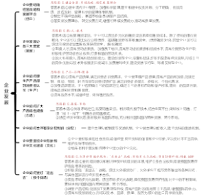 高中政治高考备考超重点01-企业发展