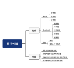 获得性膜思维导图