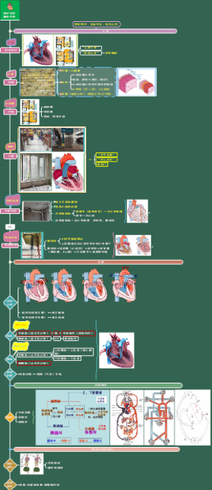 心肌疾病