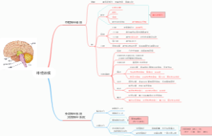 心理咨询师考试-神经体统导图