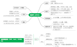 转录组（mRNA）