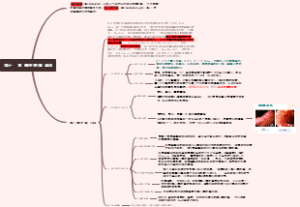 螺杆菌属