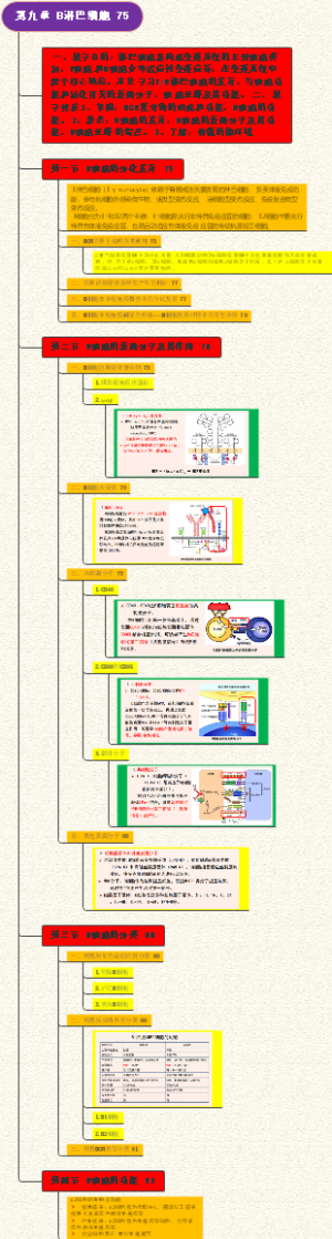 淋巴细胞 