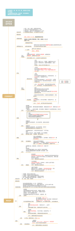 消化系统_超声检查