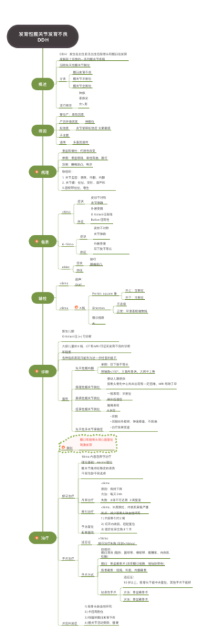 发育性髋关节发育不良_DDH