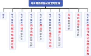 电子商务数据化运营与管理