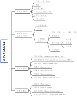 肝脏疾病的超声诊断