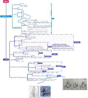 电磁场孙天麒-未完成