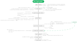 Basic Cryptography 1