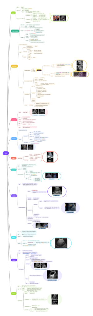 超声-肝脏