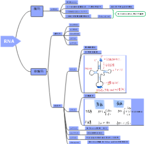 RNA