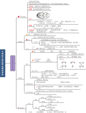 生物的生殖发育与遗传2