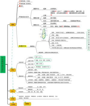 生物题的结构层次