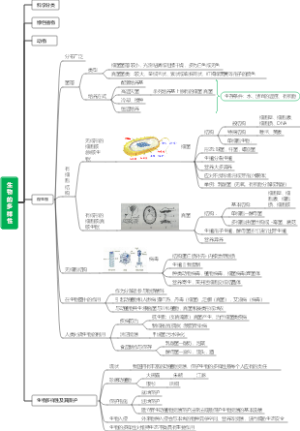 生物的多样性