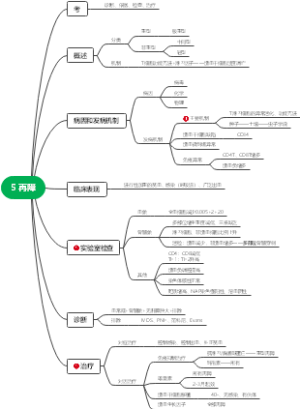 6.5 再障