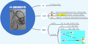 外科学48 泌尿系统外伤