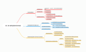 第二章 信用监管体系的构建
