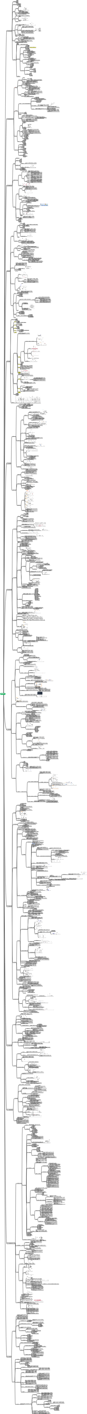 现代咨询方法与实务