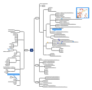 系统解剖学之脑