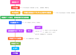血小板聚集与抗血小板药