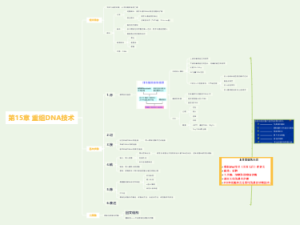 第15章：重组DNA技术