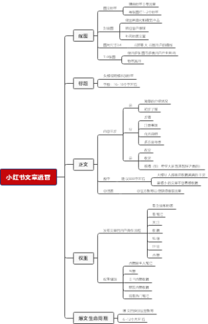 小红书文章运营