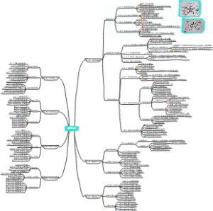 《思维导图》学习笔记