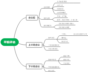 平姐评估思维导图