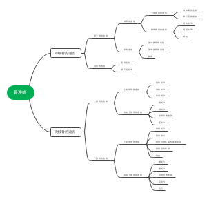 骨连结思维导图