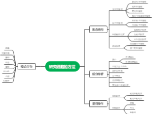 研究细胞的方法