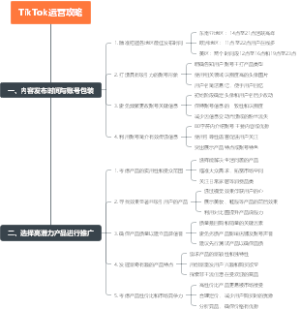 Tiktok运营策略