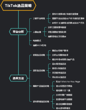 tiktok 选品策略