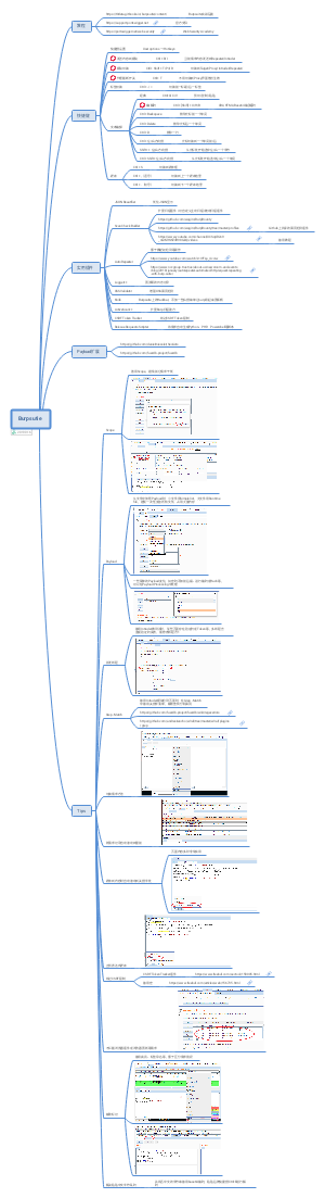Burpsuite Tips
