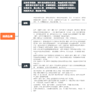 绿荫街景