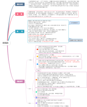 放烟花
