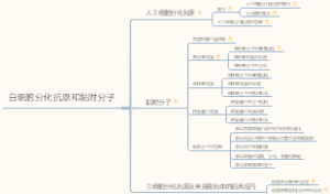 医学免疫学知识导图