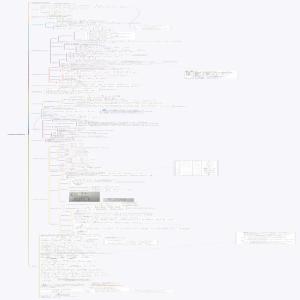 一元函数积分题型总结
