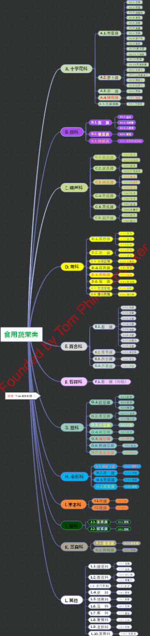 中国家庭常见食用蔬菜类汇总
