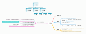 藻类绪论思维导图