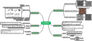 动物细胞培养技术