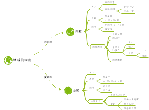 思維導圖社區-搜索思維導圖-地球