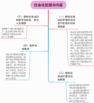 社会角色分类